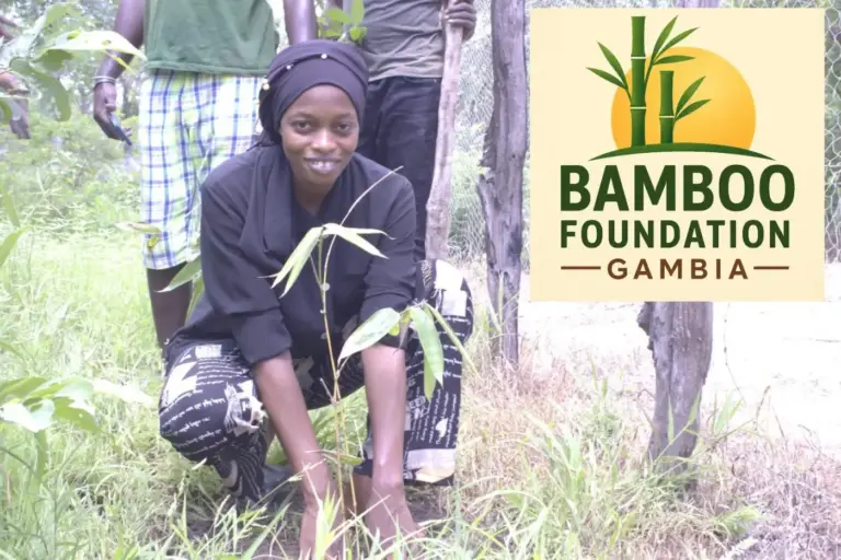 Give Regularly – Make Lasting Impact Possible